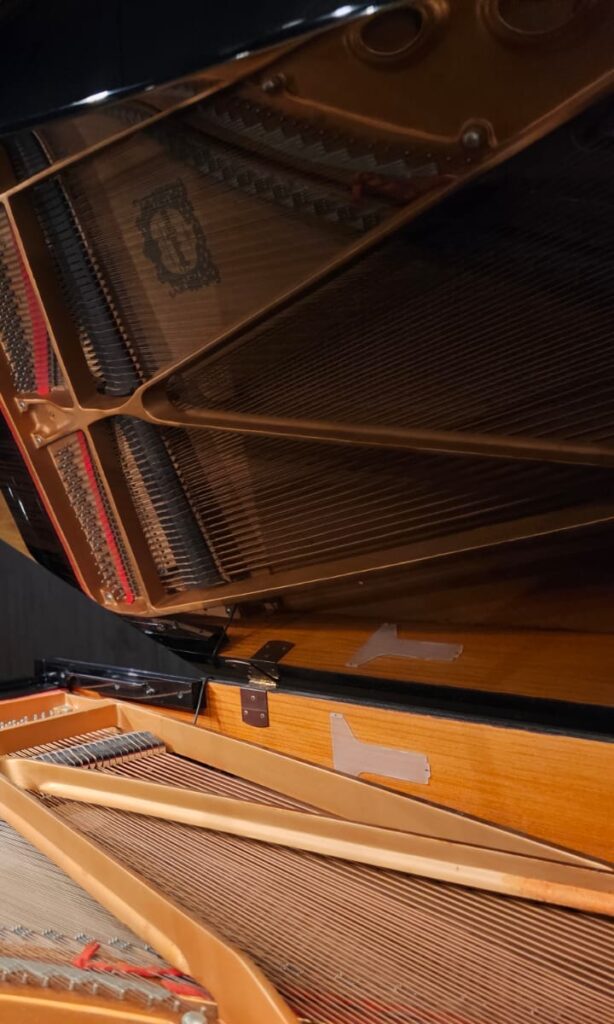 WhatsApp Image 2023-11-07 at 17.39.14_20277762